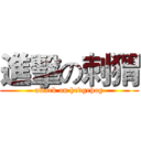 進擊の刺猬 (attack on hedgehog)