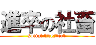 進卒の社畜 (social livestock)