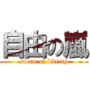 自由の嵐 (storm of liberty)