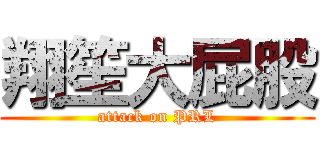 翔笙大屁股 (attack on PRL)