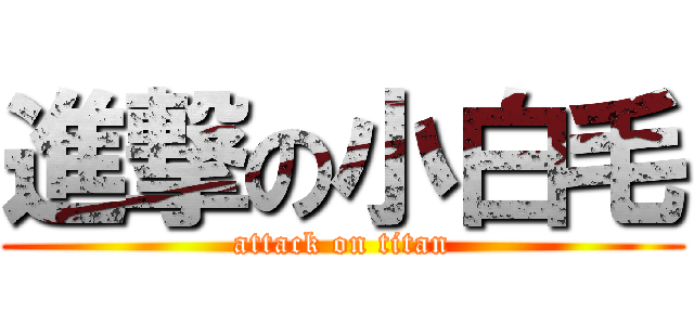 進撃の小白毛 (attack on titan)