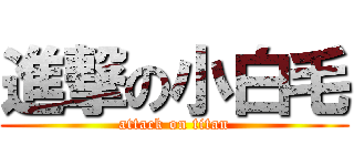 進撃の小白毛 (attack on titan)