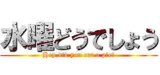 水曜どうでしょう (Hey,did you eat a pie?)