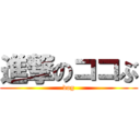 進撃のココぶ (dog)