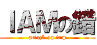 ＩＡＭの錯 (attack on iam)