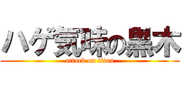 ハゲ気味の黒木 (attack on titan)