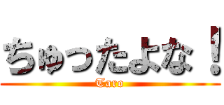 ちゅったよな！ (Taro)