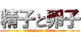 精子と卵子 (attack on titan)