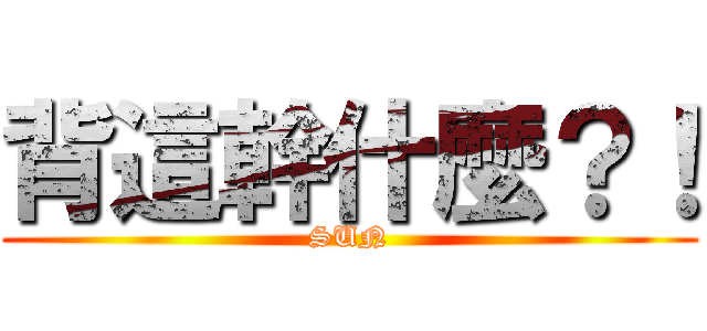 背這幹什麼？！ (SUN)