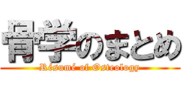 骨学のまとめ (Résumé of Osteology)