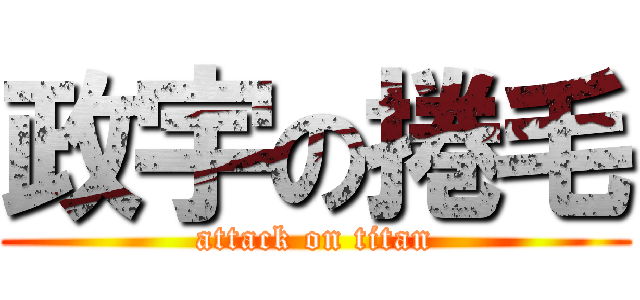 政宇の捲毛 (attack on titan)