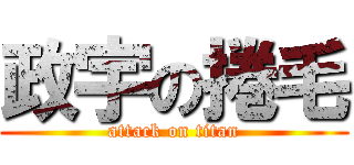 政宇の捲毛 (attack on titan)