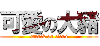 可愛の大豬 (attack on titan)