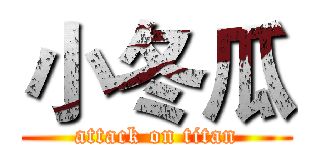小冬瓜 (attack on titan)