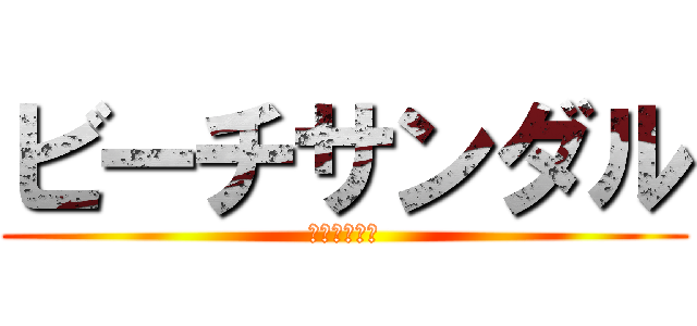 ビーチサンダル (約２７センチ)