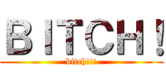 ＢＩＴＣＨ！ (bitch!!!)