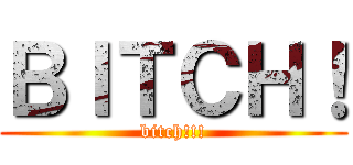 ＢＩＴＣＨ！ (bitch!!!)
