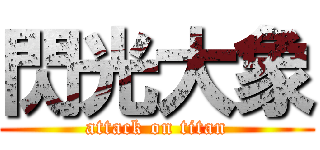 閃光大象 (attack on titan)