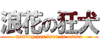 浪花の狂犬 (maddog has born in osaka)