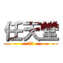 任天堂 (任天堂)