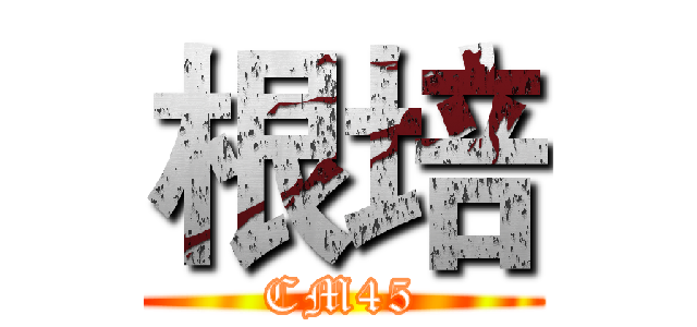 根培 (CM45)