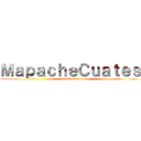 ＭａｐａｃｈｅＣｕａｔｅｓ  (attack on raccon)