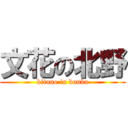 文花の北野 (kitano in bunka)