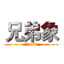 兄弟象 (繼續or解散)