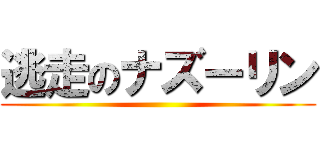 逃走のナズーリン ()