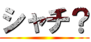 シャチ？ ()