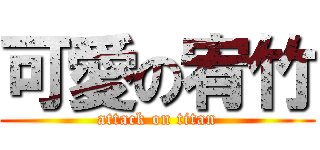 可愛の宥竹 (attack on titan)