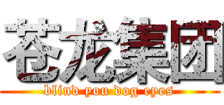 苍龙集团 (blind you dog eyes)