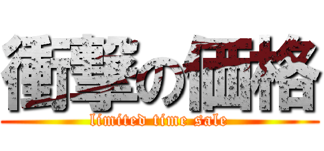 衝撃の価格 (limited time sale)