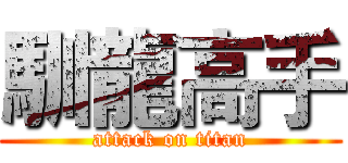 馴龍高手 (attack on titan)