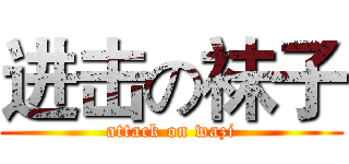 进击の袜子 (attack on wazi)