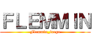 ＦＬＥＭＭＩＮ (Flemmin_fuego)