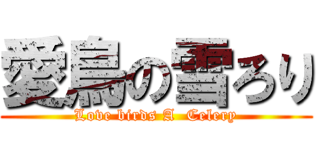 愛鳥の雪ろり (Love birds A  Celery)