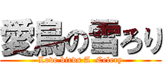 愛鳥の雪ろり (Love birds A  Celery)