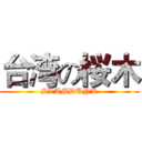 台湾の桜木 (SLAMDUNK)