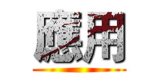 應用 ()