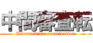 中間審査転 (Intermediate examination)