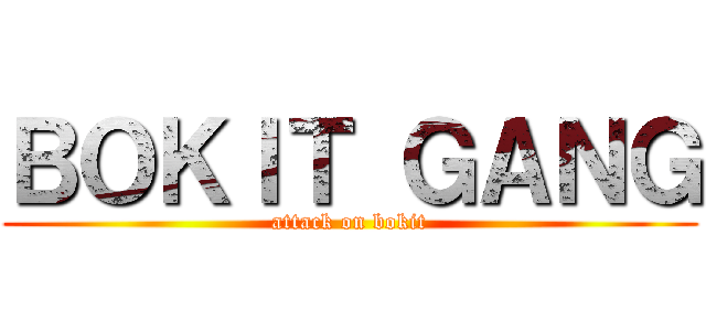 ＢＯＫＩＴ ＧＡＮＧ (attack on bokit)