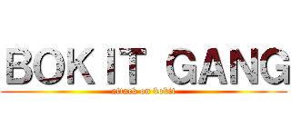 ＢＯＫＩＴ ＧＡＮＧ (attack on bokit)