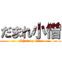 だまれ小僧 (Shut up kid)