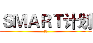 ＳＭＡＲＴ计划 (时间)