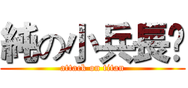 純の小兵長✙ (attack on titan)