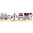 純の小兵長✙ (attack on titan)