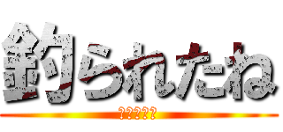 釣られたね (釣られたね)