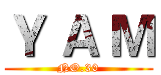 Ｙ Ａ Ｍ (NO.30)