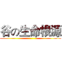 谷の生命根源 ()